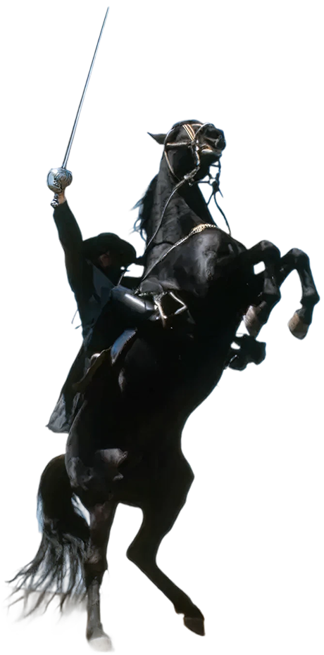Zorro and his horse
